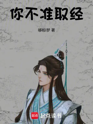 《你不准取经!》小说封面