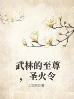《武林的至尊,圣火令》小说封面