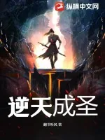 《逆天成圣》小说封面