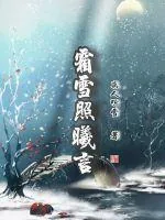 《霜雪照曦言》小说封面