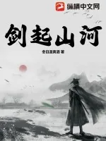 《剑起山河》小说封面