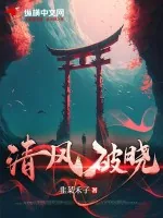 《清风破晓》小说封面