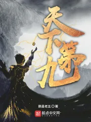 《天下第九》小说封面