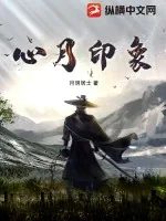 《心月印象》小说封面