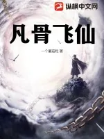 《凡骨飞仙》小说封面