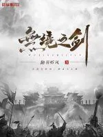 《无境之剑》小说封面