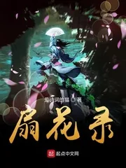 《扇花录》小说封面