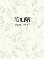 《临仙赋》小说封面