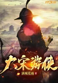 《大宋游侠》小说封面