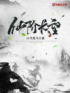 《仙阶长望》小说封面
