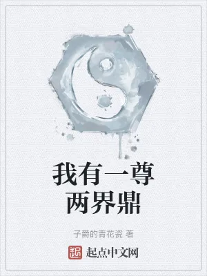 《我有一尊两界鼎》小说封面