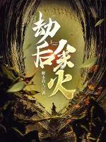 《劫后余火》小说封面