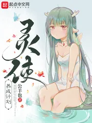 《灵使养成计划》小说封面