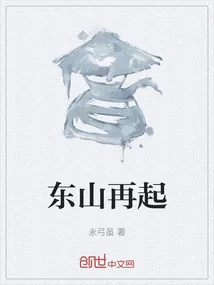 《东山再起》小说封面