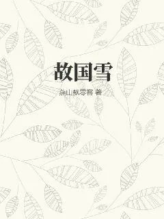 《故国雪》小说封面