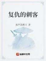 《复仇的刺客》小说封面