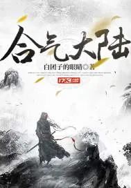 《合气大陆》小说封面