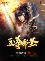 《至尊邪圣》小说封面