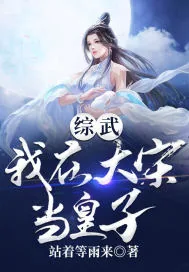 《综武：我在大宋当皇子》小说封面