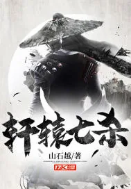 《轩辕七杀》小说封面