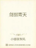 《剑指青天》小说封面