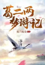 《葛二两梦游记》小说封面