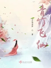 《青竹飞仙》小说封面