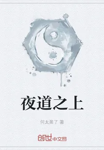 《夜道之上》小说封面