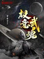 《极意武魂》小说封面