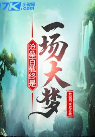 《沧桑百载重终是一场大梦》小说封面