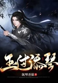《玉过添琴》小说封面