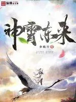 《神霄东来》小说封面