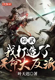 《综武:我打造了天命大反派》小说封面