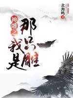 《神雕之我是那只雕》小说封面
