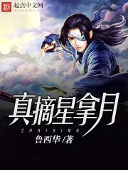 《真摘星拿月》小说封面