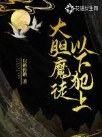 《大胆魔徒以下犯上》小说封面