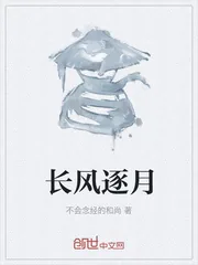 《长风逐月》小说封面