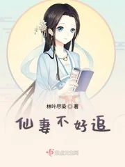 《仙妻不好追》小说封面