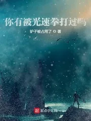 《你有被光速拳打过吗？》小说封面