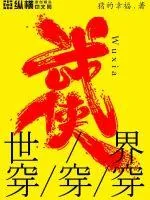 《武侠世界穿穿穿》小说封面