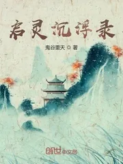 《启灵沉浮录》小说封面