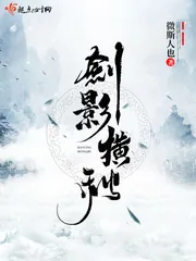 《剑影横秋》小说封面