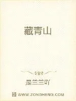 《藏海》小说封面