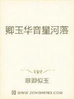 《卿玉华音星河落》小说封面
