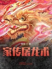 《家传屠龙术》小说封面