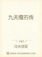 《九天魔石传》小说封面