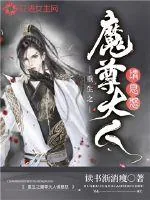 《重生之魔尊大人请息怒》小说封面