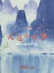 《天道小少爷》小说封面
