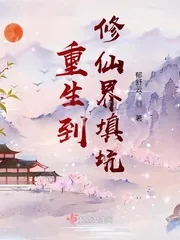 《重生到修仙界填坑》小说封面