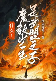《什么！魔教少主是武盟之子》小说封面